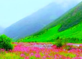 दुनिया का सबसे खूबसूरत पर्यटन स्थल,उत्तराखंड की फूलों की घाटी