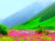दुनिया का सबसे खूबसूरत पर्यटन स्थल,उत्तराखंड की फूलों की घाटी
