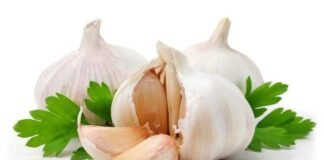 लहसुन की जैविक खेती सेहत के साथ-साथ कमाई का साधन भी