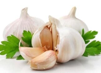 लहसुन की जैविक खेती सेहत के साथ-साथ कमाई का साधन भी