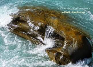 श्री बदरीनाथ धाम में स्थिति पांच दिव्य शिलाओं में बहुत खास हैं, नृसिंह शिला,पढ़िए यह खास जानकारी