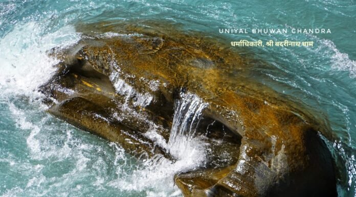 श्री बदरीनाथ धाम में स्थिति पांच दिव्य शिलाओं में बहुत खास हैं, नृसिंह शिला,पढ़िए यह खास जानकारी