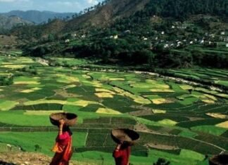 शीतकाल में कैसे करें फल पौध का रोपण