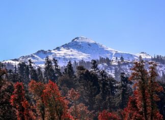 नए साल से पहले बर्फ से हसीन हुई उत्तराखंड की वादियां, मसूरी,नैनीताल,औली में बर्फबारी से खिले पर्यटकों के चेहरे