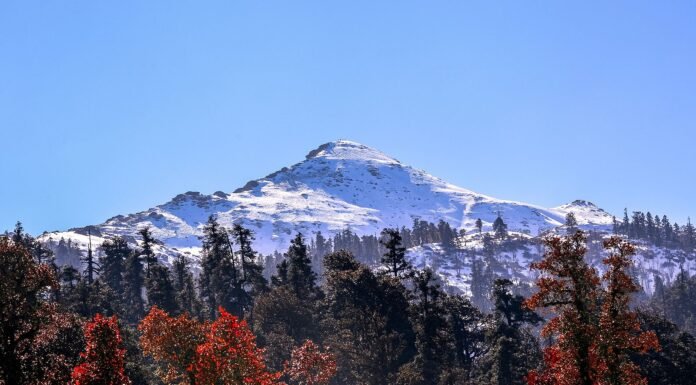नए साल से पहले बर्फ से हसीन हुई उत्तराखंड की वादियां, मसूरी,नैनीताल,औली में बर्फबारी से खिले पर्यटकों के चेहरे