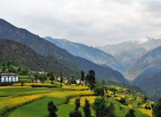 उत्तराखंड के गांव में फिर कोरोना का कहर,खेत-खलिहानों तक पहुंचा संक्रमण