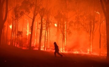 गणेश गनी की कविताएं