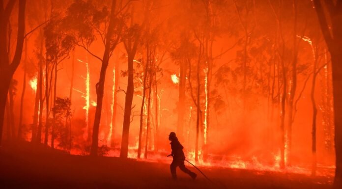 गणेश गनी की कविताएं