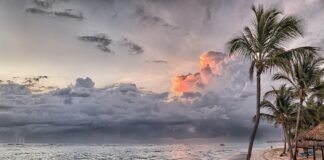 अनामिका अनु की कविताएं