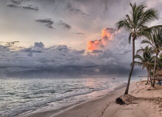 अनामिका अनु की कविताएं