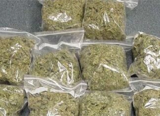 देवभूमि की जवानी को कुचल रहा है नशे का दानव,सतपुली पुलिस ने चैकिंग के दौरान बरामद किया भारी में मात्रा में गांजा