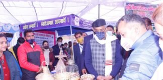 ऐपण कला के संरक्षण और संवर्धन के लिए उत्तराखंड सरकार देगी प्रोत्साहन