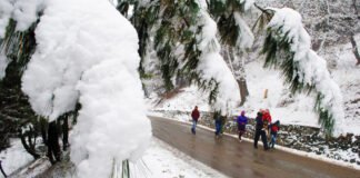 कोरोना महामारी के बीच उत्तराखंड में लोगों ने घरों से किया नए साल 2021 का स्वागत