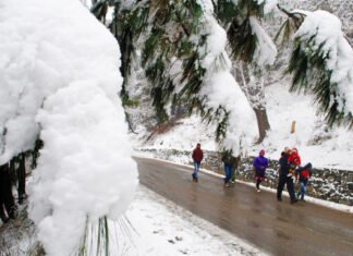 कोरोना महामारी के बीच उत्तराखंड में लोगों ने घरों से किया नए साल 2021 का स्वागत