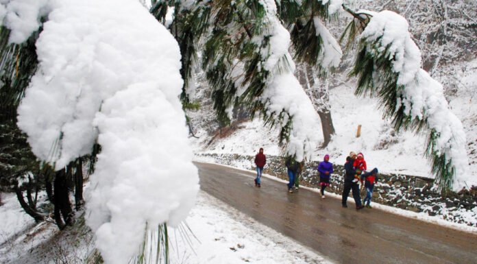 कोरोना महामारी के बीच उत्तराखंड में लोगों ने घरों से किया नए साल 2021 का स्वागत