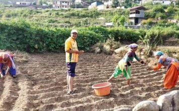 पौड़ी जनपद में 20 हेक्टेअर पर कीवी प्लांटेंसन के लिए पहली बार किया गया है बजट का प्रोविजन,हिमाचल की तरह पूरे देश को लुभाएगा पौड़ी जिले की कीवी स्वाद