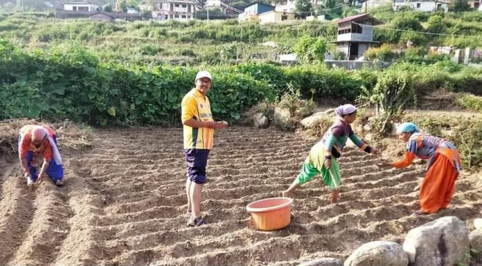 पौड़ी जनपद में 20 हेक्टेअर पर कीवी प्लांटेंसन के लिए पहली बार किया गया है बजट का प्रोविजन,हिमाचल की तरह पूरे देश को लुभाएगा पौड़ी जिले की कीवी स्वाद