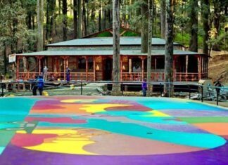 विश्व पर्यटन पटल पर पौड़ी को मिली नई पहचान,जिलाधिकारी के अथक प्रयासों से नये कैनवास पर चमक रहा है पौड़ी जिला