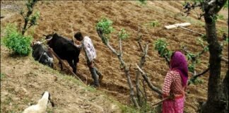 उत्तराखंड के 25 हजार किसानों को 6 फरवरी को किसान कल्याण योजना के तहत वितरित किए जाएंगे 3 लाख तक के ब्याज रहित बृहद ऋण