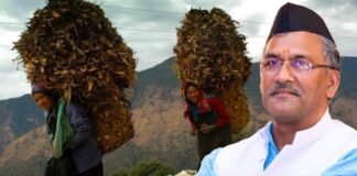 उत्तराखंड सरकार ने महिलाओं को दिया एक और तोहफा,अब चारा काटने नहीं जाना पड़ेगा जंगल,हिंसक पशुओं और दुर्घटना से होगी जीवन रक्षा