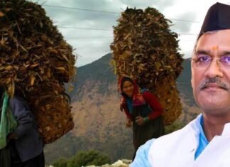 उत्तराखंड सरकार ने महिलाओं को दिया एक और तोहफा,अब चारा काटने नहीं जाना पड़ेगा जंगल,हिंसक पशुओं और दुर्घटना से होगी जीवन रक्षा