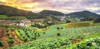 उत्तराखण्ड को कृषि अर्गेनिक उत्पाद के रूप में पहचान दिलाने के लिए जल्द होंगे ब्रान्ड स्थापित