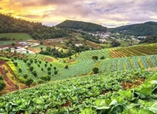 उत्तराखण्ड को कृषि अर्गेनिक उत्पाद के रूप में पहचान दिलाने के लिए जल्द होंगे ब्रान्ड स्थापित