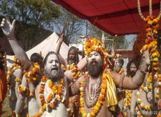 हरिद्वार में कुंभ में धूम-धाम से निकली आनंद अखाड़ा पंचायती की पेशवाई