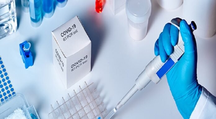 देश के 12 राज्यों से उत्तराखंड आने वालों यात्रियों को लानी होगी आरटीपीसीआर जांच की निगेटिव रिपोर्ट,नियमों का उल्लंघन करने वाले लोगों पर होगी कार्रवाई