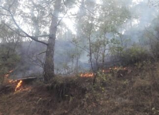 उत्तराखंड के दूरस्थ व दुर्गम क्षेत्रों में वनाग्नि शमन के लिये जरूरत होने पर हेलीकाप्टर का उपयोग हो-तीरथ सिंह रावत