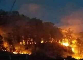 उत्तराखंड के जंगलों में लगी आग बुझाने के लिए केंद्र सरकार ने दिए हेलिकॉप्टर,मुख्यमंत्री ने केंद्रीय गृह मंत्री से किया था अनुरोध