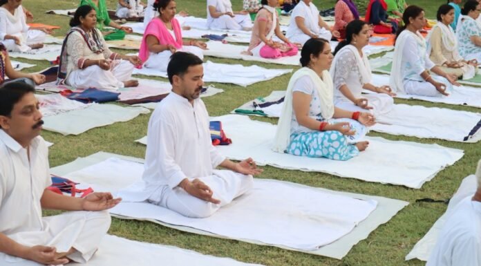 कोविड निदान में योग और आयुर्वेद की भूमिका