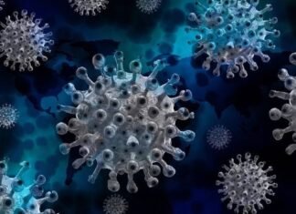 कोरोना संकट में एकजुटता का अभाव