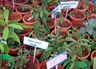 उत्तराखंड में कृषकों की आय में वृद्धि के लिए हर्बल एवं मेडिसनल प्लांट के उत्पादों को बढ़ावा देगी सरकार