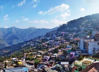 वन विभाग द्वारा मुख्यमंत्री घोषणा संबंधित 7 ईकोटूरिज्म प्रस्तावों हेतू ₹ 79.83 लाख स्वीकृत