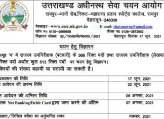 उत्तराखंड में बेरोजगार युवाओं के लिए अच्छी खबर,पटवारी एवं लेखपाल के पदों के लिए निकली भर्ती,ऐसे करें आवेदन