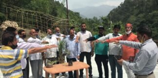 विश्व पर्यावरण दिवस पर समाजसेवी दर्शनलाल आर्य ने पट्टी नैलचामी में किया वृक्षारोपण