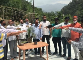 विश्व पर्यावरण दिवस पर समाजसेवी दर्शनलाल आर्य ने पट्टी नैलचामी में किया वृक्षारोपण