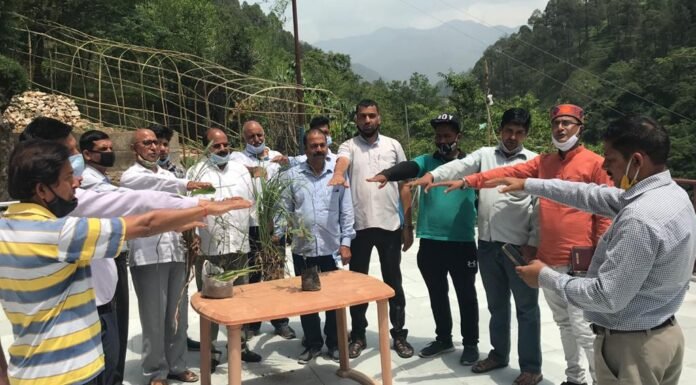 विश्व पर्यावरण दिवस पर समाजसेवी दर्शनलाल आर्य ने पट्टी नैलचामी में किया वृक्षारोपण