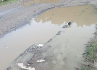 टिहरी गढ़वाल के भिलंगना में घुत्तू-कंडारा गांव मोटर मार्ग की हालत खस्ता,ग्रामीणों की सरकार से मांग तत्काल हो सड़क निर्माण