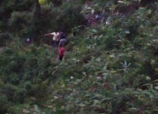 मसूरी देहरादून रोड़ पर कार गहरी खाई में गिरी,कार सवार एक व्यक्ति की मौके पर मौत