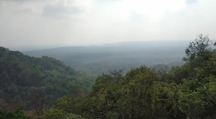 मौसम विभाग ने उत्तराखण्ड में 30 जुलाई तक किया ऑरेंज अलर्ट जारी है,पर्यटकों से अपील पानी वाली जगहों पर जाने से बचें