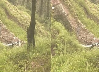 पौड़ी गढ़वालः-दिल्ली से लैंसडाउन घूमने आए पर्यटकों कार गहरी खाई में गिरी,2 लोगों की मौत,एक घायल