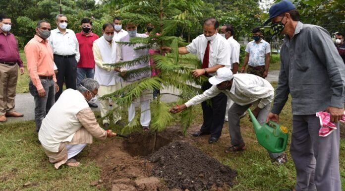 पूर्व मुख्यमंत्री त्रिवेन्द्र रावत ने भारतीय पेट्रोलियम संस्थान,देहरादून में किया वृक्षारोपण कहा,जनसहभागिता के चलते एक लाख वृक्षों का हमारा संकल्प सिद्धि की ओर अग्रसर