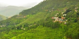 उत्तराखंड में सांस्कृतिक-धार्मिक-सामाजिक परिवेश और भू-कानून को बचाने के लिए होने वाला है बड़ा बदलाव!