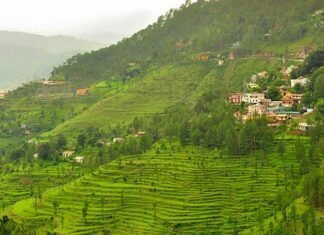 उत्तराखंड में सांस्कृतिक-धार्मिक-सामाजिक परिवेश और भू-कानून को बचाने के लिए होने वाला है बड़ा बदलाव!