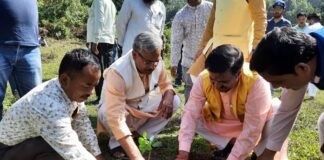मोथरोवाला दुधली में पूर्व सीएम त्रिवेंद्र ने किया वृक्षारोपण कहा- पर्यावरण को बचाने के लिये वृक्षारोपण ज़रूरी