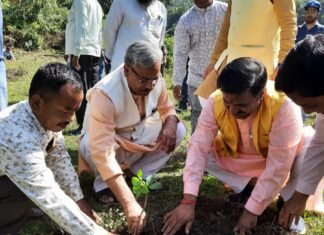 मोथरोवाला दुधली में पूर्व सीएम त्रिवेंद्र ने किया वृक्षारोपण कहा- पर्यावरण को बचाने के लिये वृक्षारोपण ज़रूरी