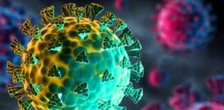 कोविड-19 एवं नये वेरिएंट ओमीक्रॉन से निपटने के लिए सीएम धामी की प्रदेशवासियों से अपील कहा-पूरी शक्ति के साथ इस महामारी से लड़ना है,अपना एवं अपनों का बचाव करना है