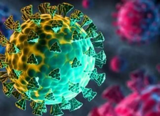 कोविड-19 एवं नये वेरिएंट ओमीक्रॉन से निपटने के लिए सीएम धामी की प्रदेशवासियों से अपील कहा-पूरी शक्ति के साथ इस महामारी से लड़ना है,अपना एवं अपनों का बचाव करना है